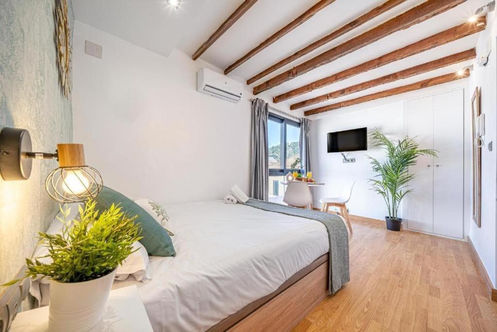 Stylish Flat In Historic Center Apartment