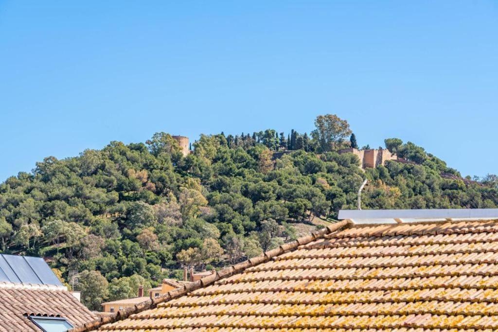 Stylish Flat In Historic Center
